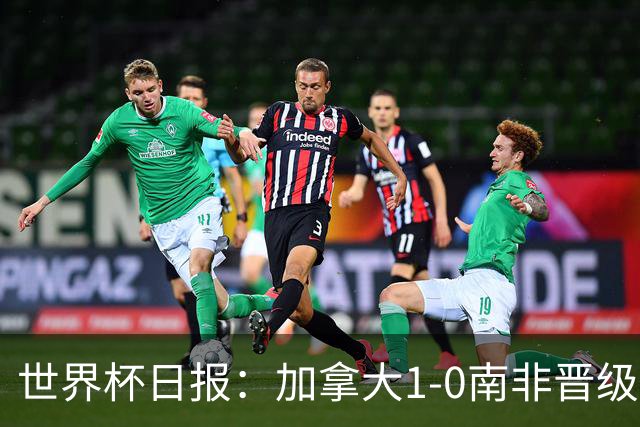 世界杯日报：加拿大1-0南非晋级创历史 韩国主帅洪明甫下课
