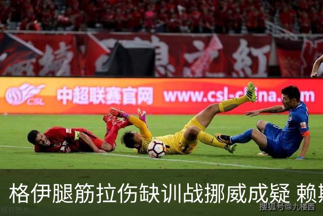格伊腿筋拉伤缺训战挪威成疑 赖斯胃部不适和队友隔离